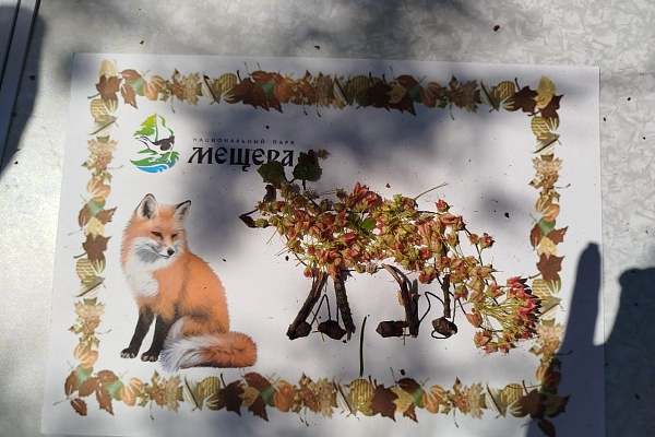 День охраны окружающей среды 2025