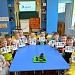 Хвойные красавицы