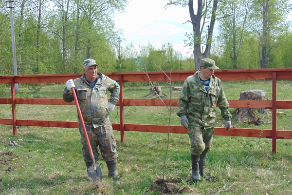 ДЕНДРАРИЙ В ПОС. УРШЕЛЬСКИЙ