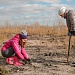 Студенты вузов Рязани и абоненты Т2 восстановили 9 гектаров леса заповедной Мещёры