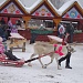 А у нас было весело!