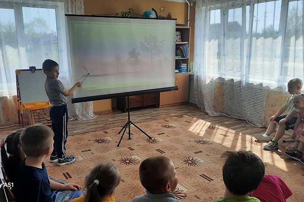 Хвойные красавицы