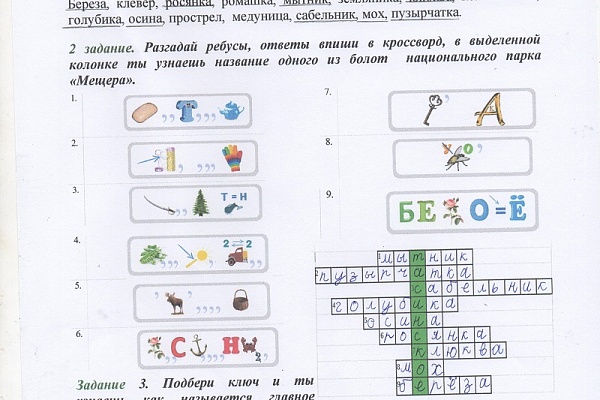 Младшие школьники узнали о растениях болот