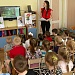 Хвойные красавицы