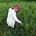 ШКОЛА ПОЛЕВОЙ ЭКОЛОГИИ В  «МУРОМСКОМ» ЗАКАЗНИКЕ