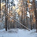 ФАУНИСТИЧЕСКОЕ РАЗНООБРАЗИЕ «МЕЩЁРЫ» ПОДТВЕРЖДЕНО ЗИМНИМИ МАРШРУТНЫМИ УЧЁТАМИ