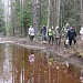 «…И синие ресницы подснежник приоткрыл»