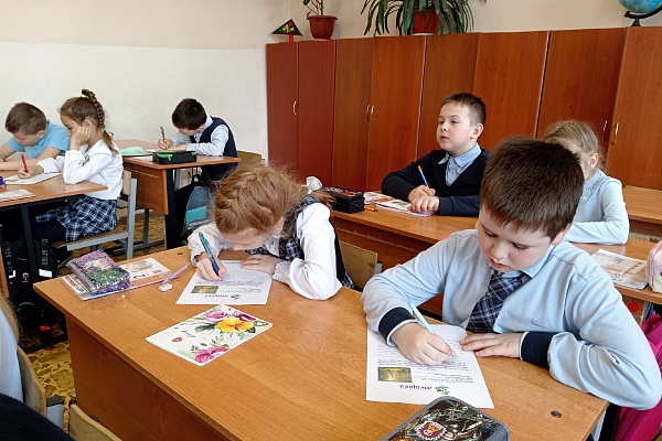 Рассвет в лесу