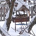 БОЛЕЕ 4,5 ТЫСЯЧ ЧЕЛОВЕК ПОМОГЛИ ПТИЦАМ ЭТОЙ ЗИМОЙ