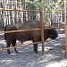 НАЦИОНАЛЬНЫЙ ПАРК «МЕЩЕРА» ПОКАЖУТ В ЭФИРЕ ПЕРВОГО КАНАЛА