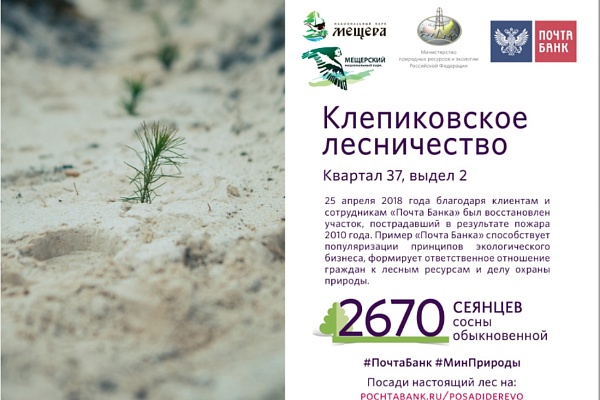 Старт лесовосстановительных работ