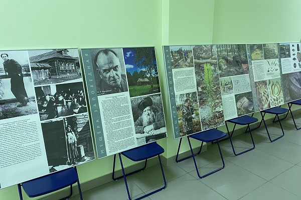Выставка  « Мещера заповедная»