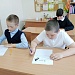 Лесные сторожа.
