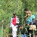 ЛЕТО ВЗЯЛО В РУКИ КРАСКИ…