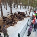 Весна и туризм в национальном парке "Мещера"