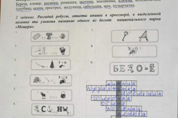 Младшие школьники узнали о растениях болот
