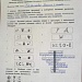 Младшие школьники узнали о растениях болот