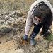 Акция «Возродим леса России»