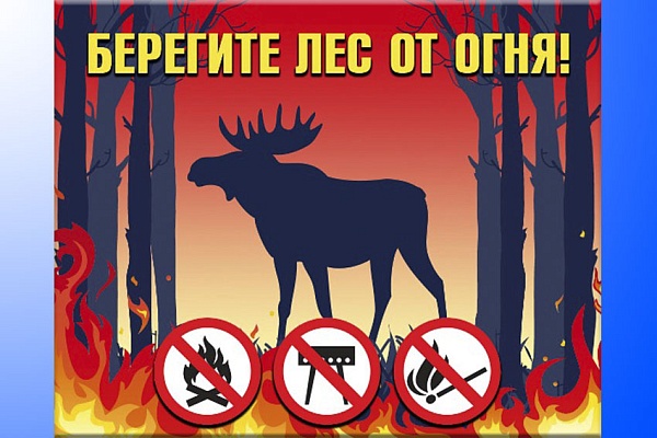 Особый противопожарный режим установили на территории Рязанской области