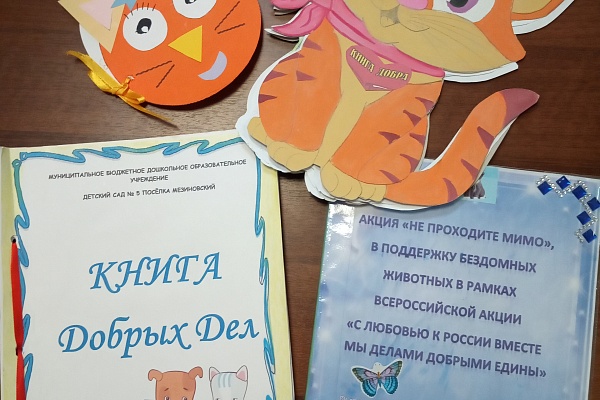 Итоги акции «Не проходите мимо»