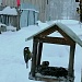 БОЛЕЕ 4,5 ТЫСЯЧ ЧЕЛОВЕК ПОМОГЛИ ПТИЦАМ ЭТОЙ ЗИМОЙ