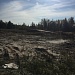 ОСТАЁТСЯ ПОМЕНЯТЬ СОЗНАНИЕ ЛЮДЕЙ