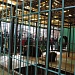 ЗИМА С ВЕСНОЮ ВСТРЕТИЛИСЬ НА РУССКОМ ПОДВОРЬЕ