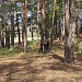 Всероссийский экологический субботник «Зеленая Весна»