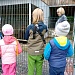 От крестьянского быта к медведю Мише: летний день в "Мещерском"
