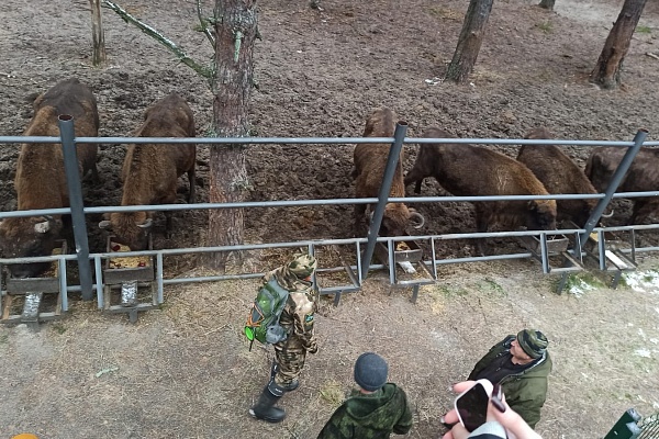 СТУДЕНТЫ ВлГУ В НАЦИОНАЛЬНОМ ПАРКЕ «МЕЩЕРА»