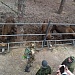 СТУДЕНТЫ ВлГУ В НАЦИОНАЛЬНОМ ПАРКЕ «МЕЩЕРА»