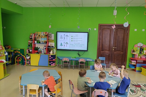 Хвойные красавицы