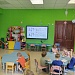 Хвойные красавицы