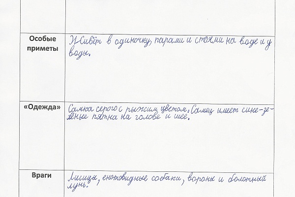 «Письма животным» - итоги