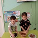 Хвойные красавицы