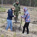 ВЕСЕННЯЯ ПОСАДКА – 2018