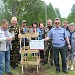 Петровские дубы в Мещере