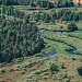 Авиаразведка лесопожароопасной обстановки
