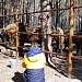 НАЦИОНАЛЬНЫЙ ПАРК «МЕЩЕРА» ПОКАЖУТ В ЭФИРЕ ПЕРВОГО КАНАЛА