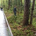 МАЙСКИЕ ХЛОПОТЫ НА «ПОДВОРЬЕ»