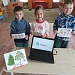 Хвойные красавицы