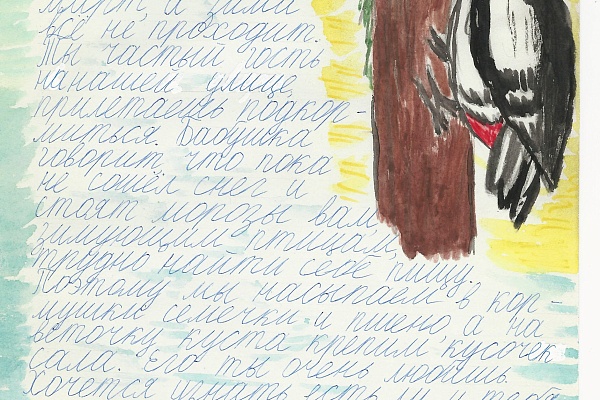 «Письма животным» - итоги