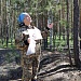 ЛЕТО ВЗЯЛО В РУКИ КРАСКИ…