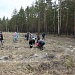 ВЕСЕННЯЯ ПОСАДКА – 2018