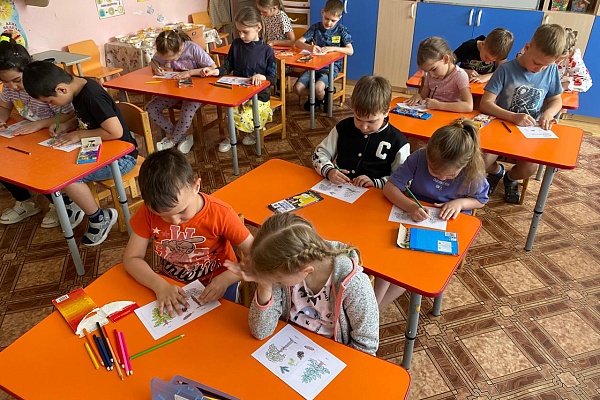 Хвойные красавицы