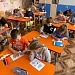 Хвойные красавицы