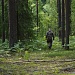 ВОЛОНТЕРЫ В НАЦИОНАЛЬНОМ ПАРКЕ «МЕЩЕРА»