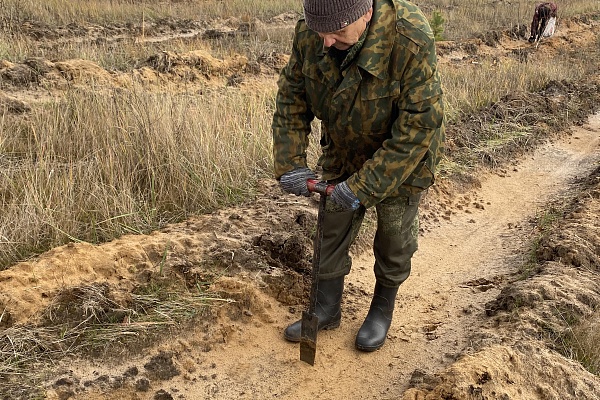 Акция «Возродим леса России»