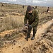Акция «Возродим леса России»