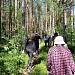 ЛЕТО ВЗЯЛО В РУКИ КРАСКИ…